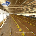 Shandong steel frame broiler layout poultry house prefabricated building for Philippines design